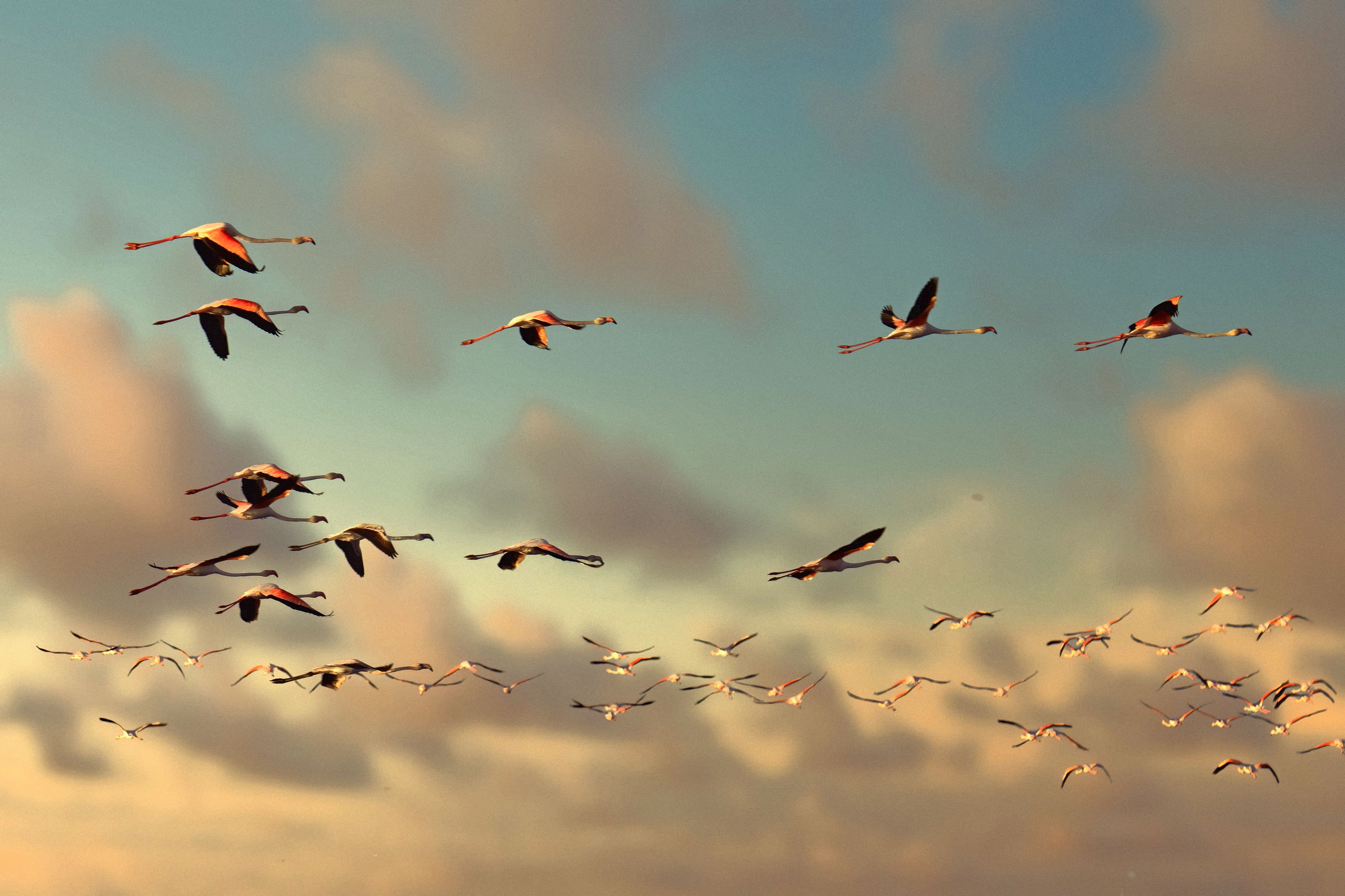 Tanatorio de Castejón