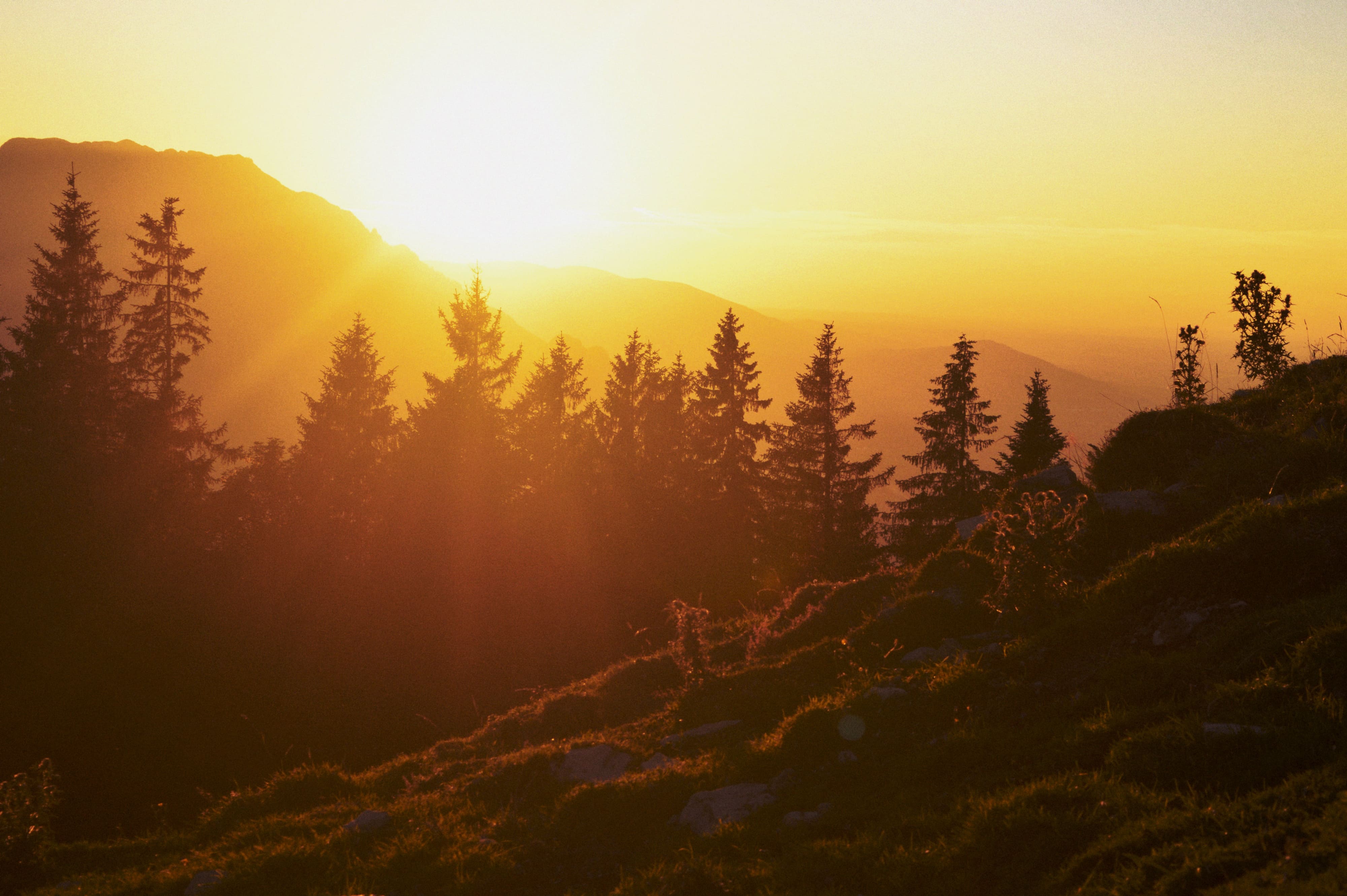 Servicios funerarios